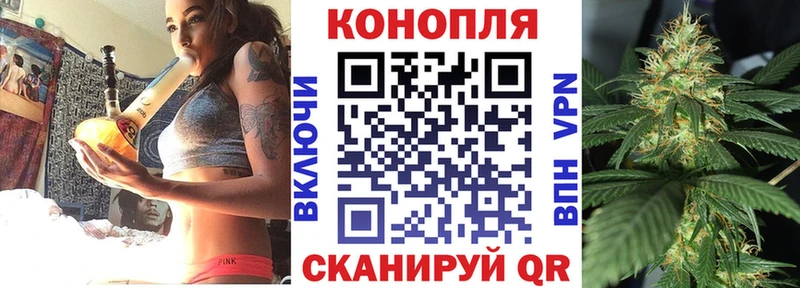 Бошки Шишки план  закладки  Порхов 